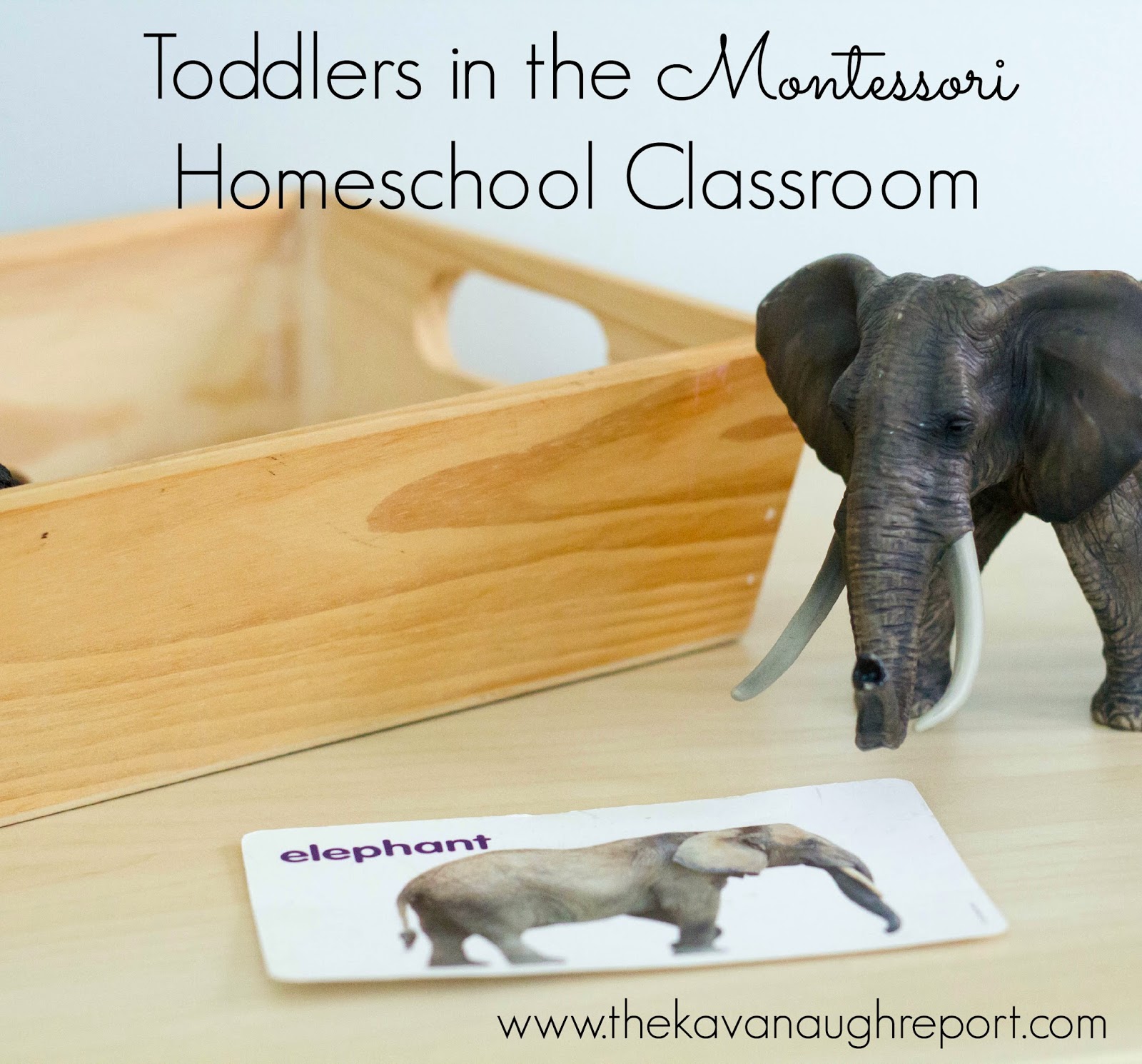 Toddler Work Toddlers in a Homeschool Classroom