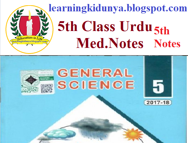 5th Class Science Notes learning ki dunya