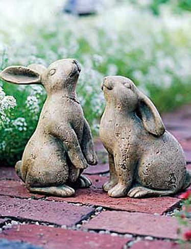 My Beautiful Garden ~ Gardening Stuff