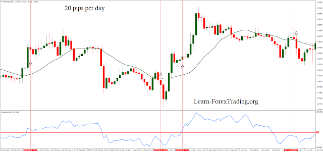 20 pips per day