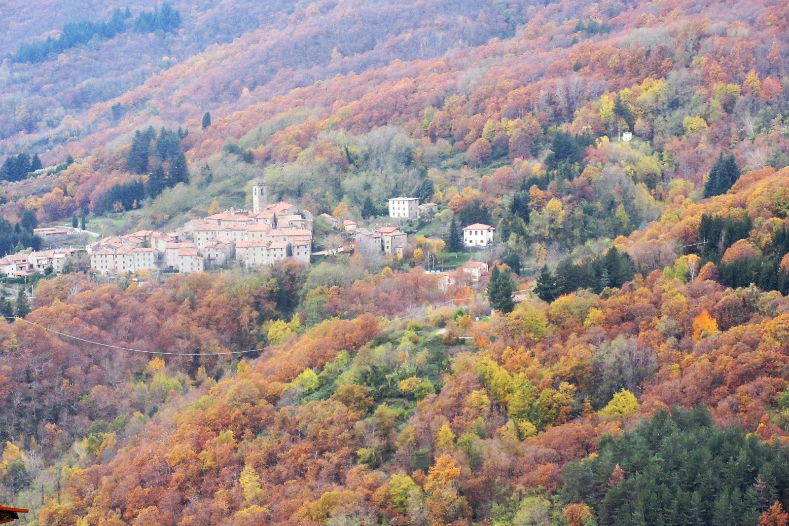 IL PELLEGRINO novembre 2016