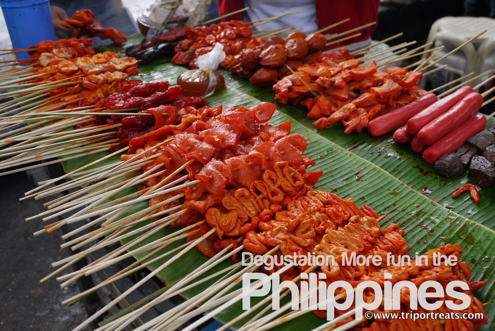 Wild Boars Adventures About Philippine Street Food And Its Varieties