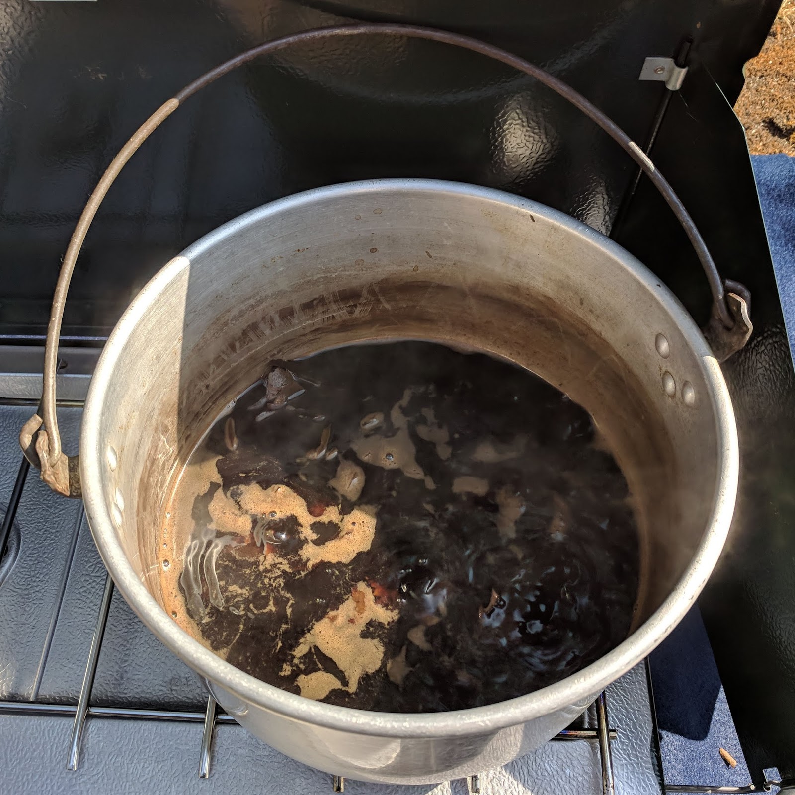 Eden By The Bay Dye Project Black Walnuts