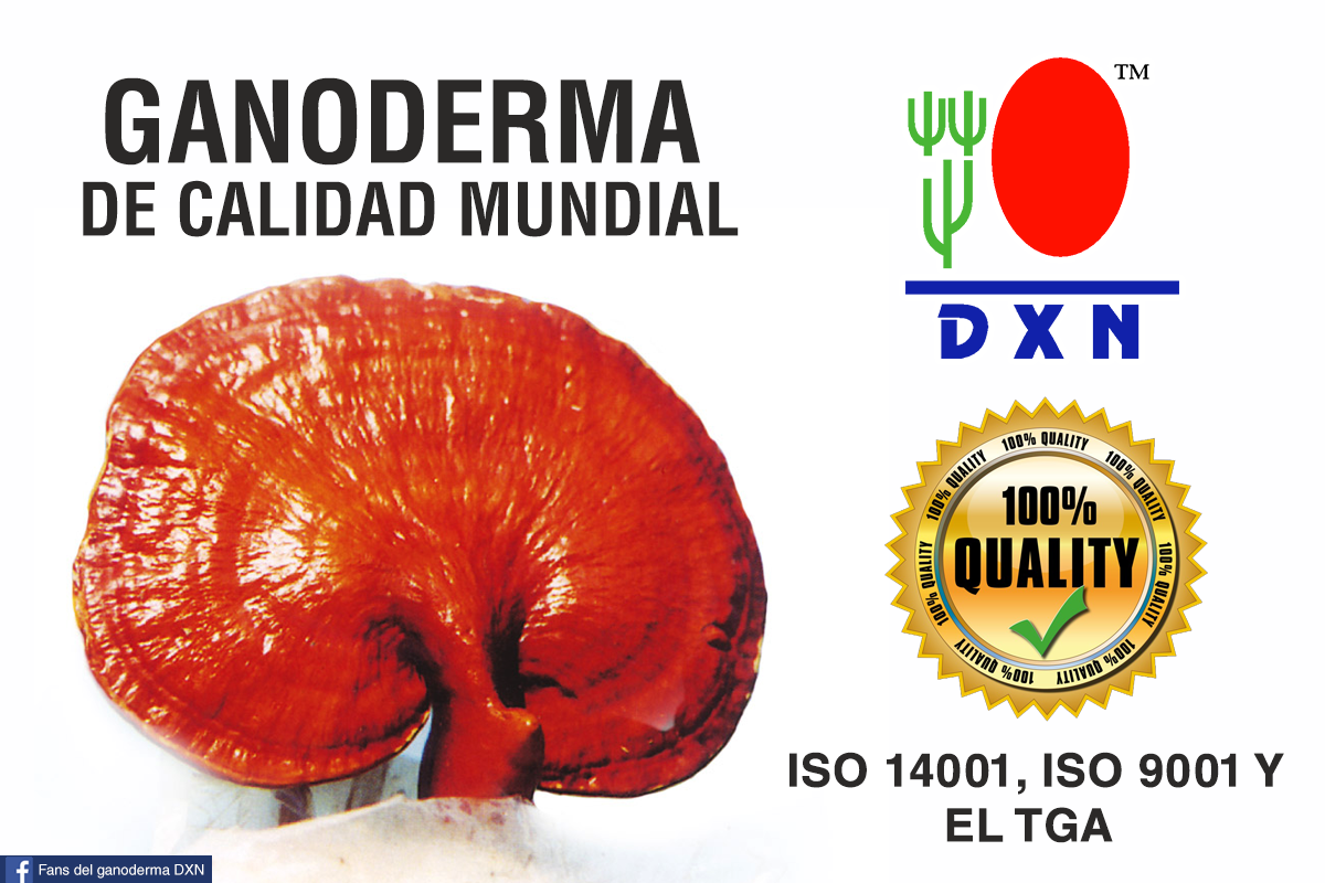 ¿Por qué elegir el Reishi de DXN? DXN Productos con Ganoderma Lucidum