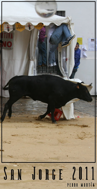 SAN JORGE 2011