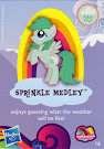 My Little Pony Wave 9 Sprinkle Medley Blind Bag Card