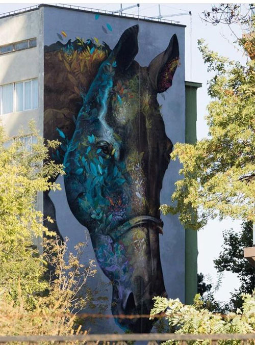 My Owl Barn Street Artist Paints Large Scale Murals Combining Animals