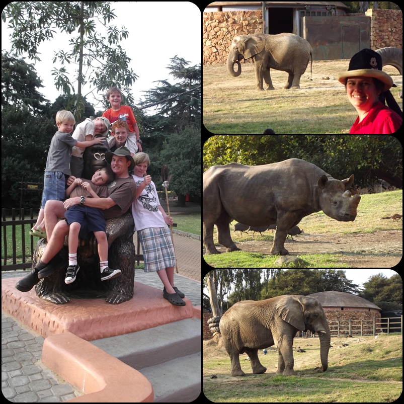 Every Bed of Roses A day at Johannesburg Zoo