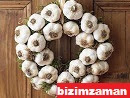Sarımsak Sarmısak Nelere İyi Gelir Faydaları Neler Sarmısak neye İyi Gelir