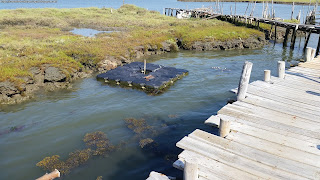 PLACES / Porto Palafita, Carrasqueira, Portugal