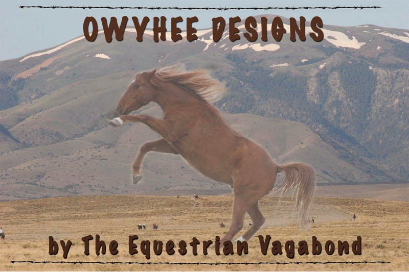 Owyhee Designs Blog
