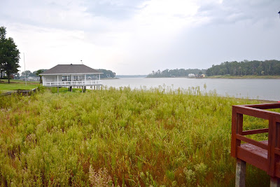 Lake Bob Sandlin, Drought 2013