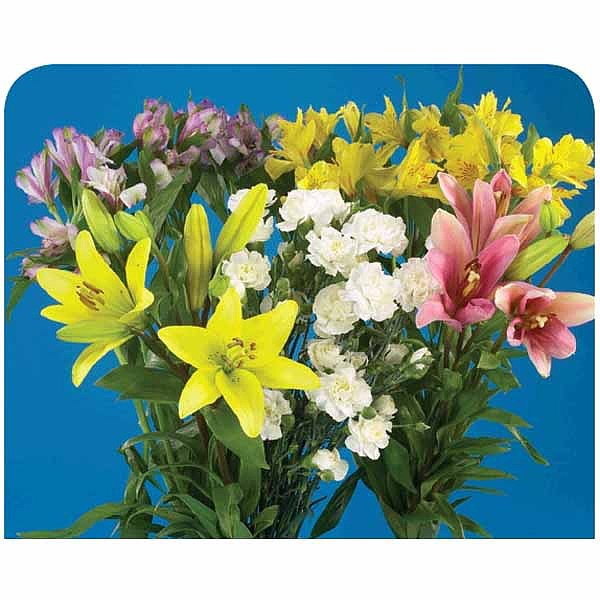 Fuzzy Math at Albertsons