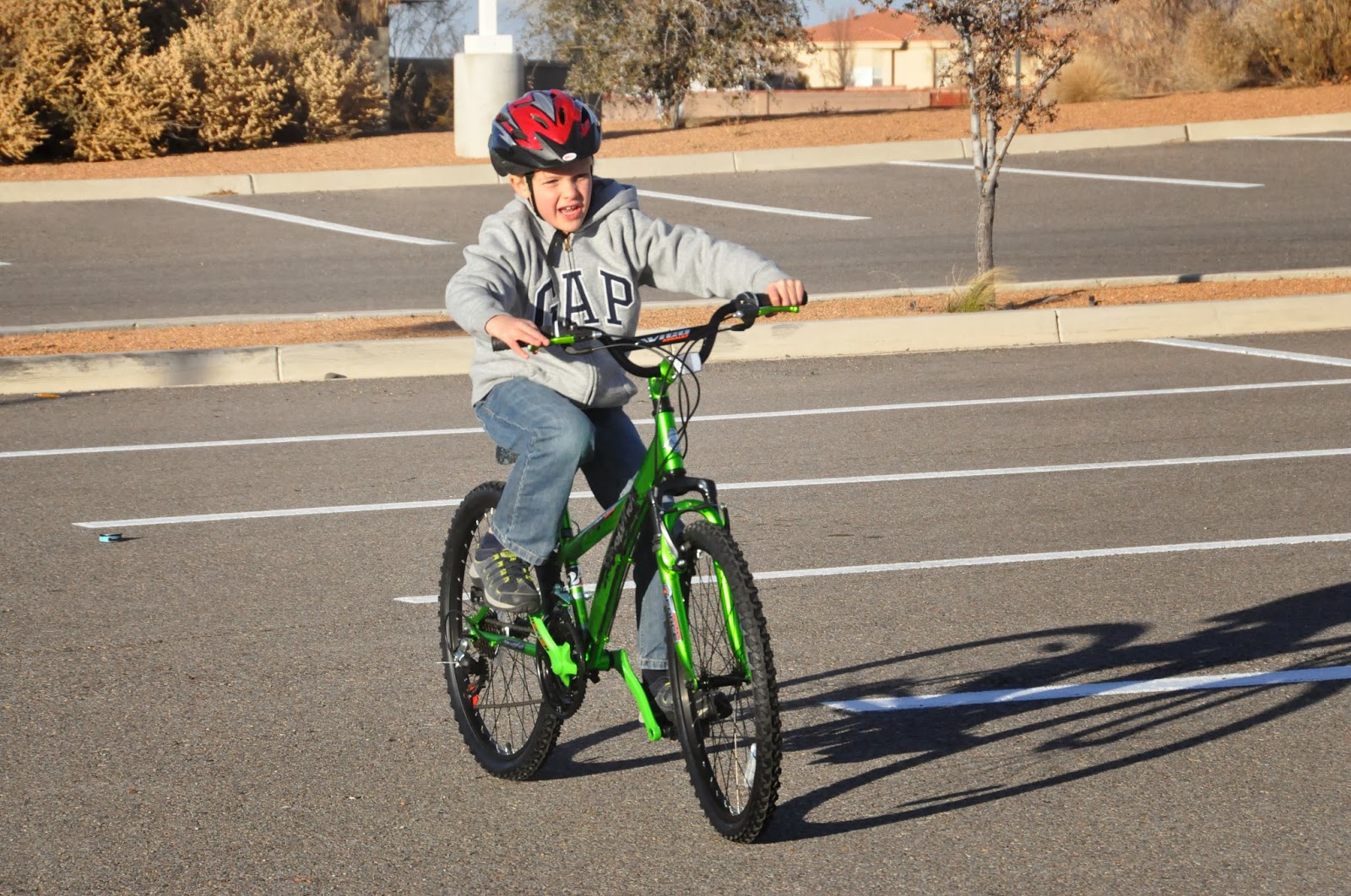 big brother bikes