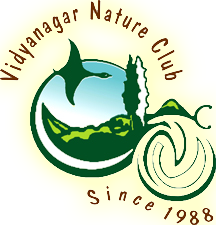 Vidyanagar Nature Club
