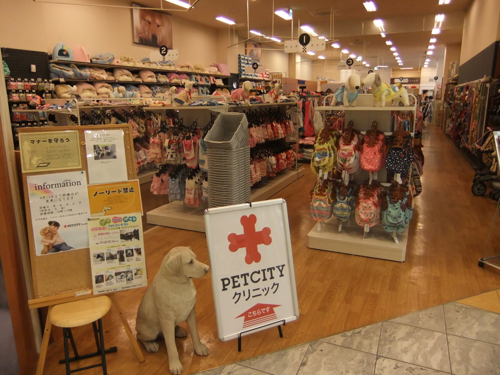 Gintonic's Japan Memo A Typical Japanese Pet Shop