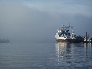 Mist obscure locks Seattle Salmon Bay