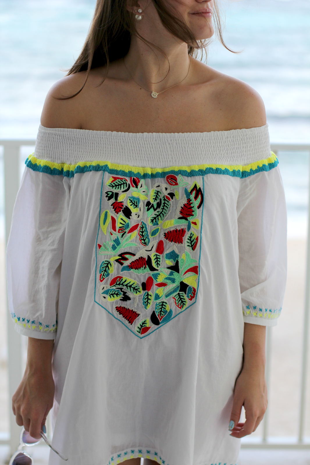 Pia Pauro Embroidered Tunic Dress
