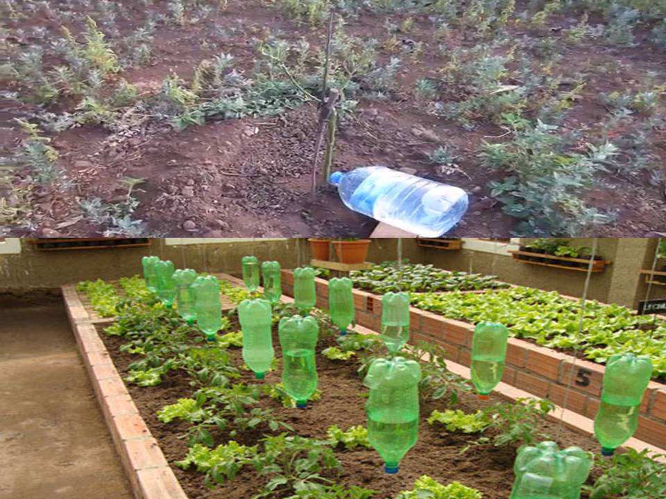 Secretaría de Ambiente GBZ: HIDRATADORES DE PLANTAS