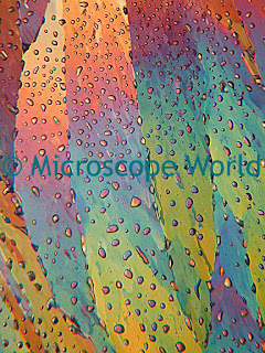 Minerals under a polarizing microscope from Microscope World