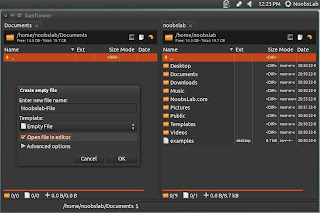 Insatall SunFlower Twin-Panel File Manager Ubtuk Ubuntu 13.04/12.10/12.04/Linux Mint/other