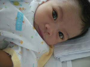 Nur 'Ain Sofia Bt Mohd Faizul