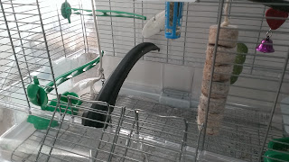 a piece of bicycle tire in a cage for a parakeet perch