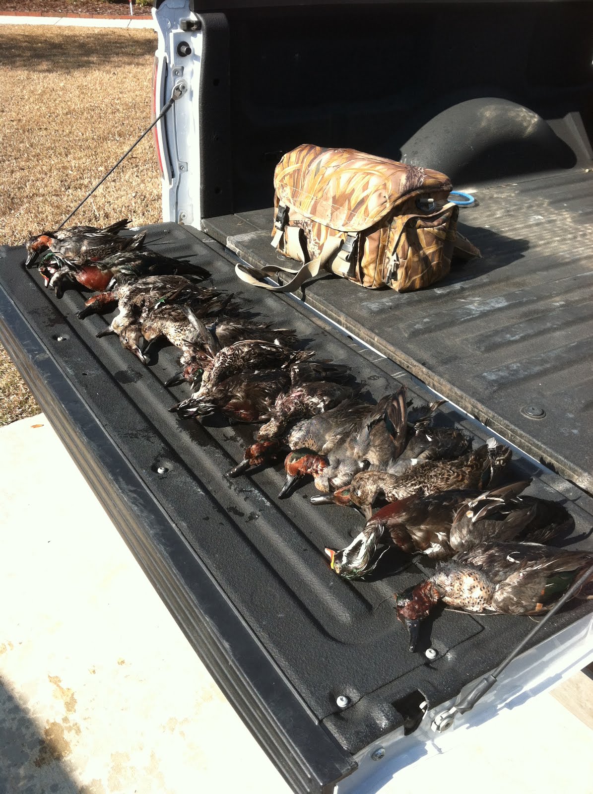 Shocking Sc Duck Hunting Season Predictions - hoxauac