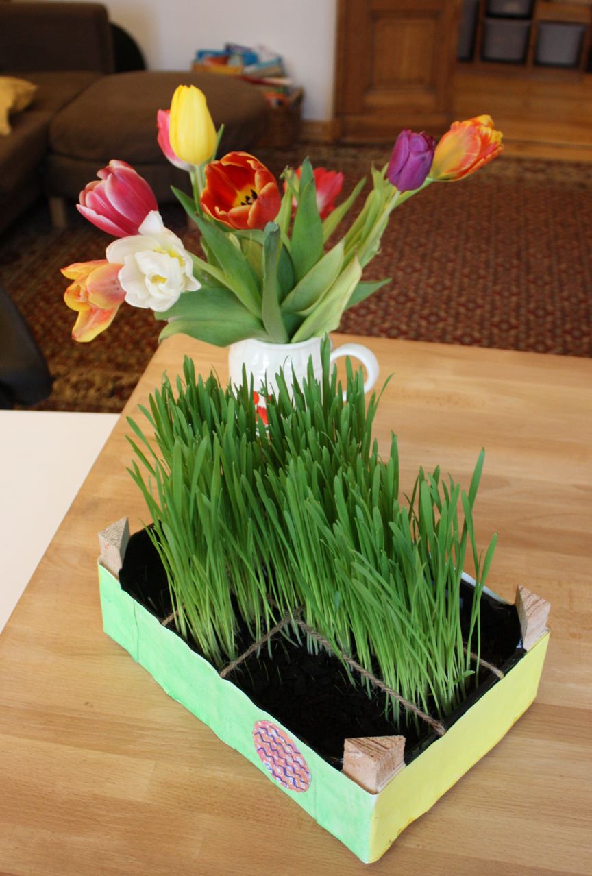 Explore and Express Growing Easter Grass in the Shape of a Cross