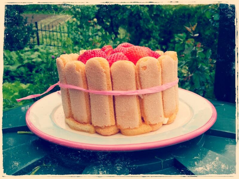 Kein Kuchen ist auch keine Lösung: Erdbeer-Charlotte mit Holunderblüten ... Kein Kuchen ist auch keine Lösung: Erdbeer-Charlotte mit Holunderblüten ...