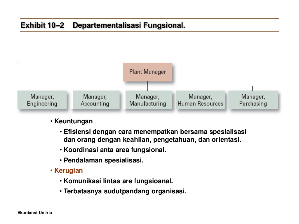 Tulisan Manajemen Struktur Dan Desain Organisasi