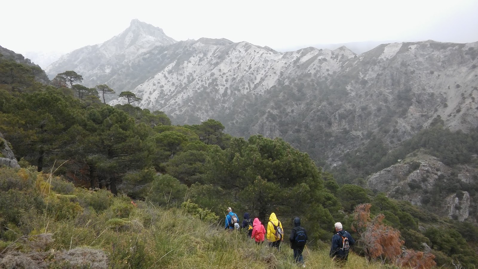 El Blog de Ciempies Rodeando el Cerro de Huenes