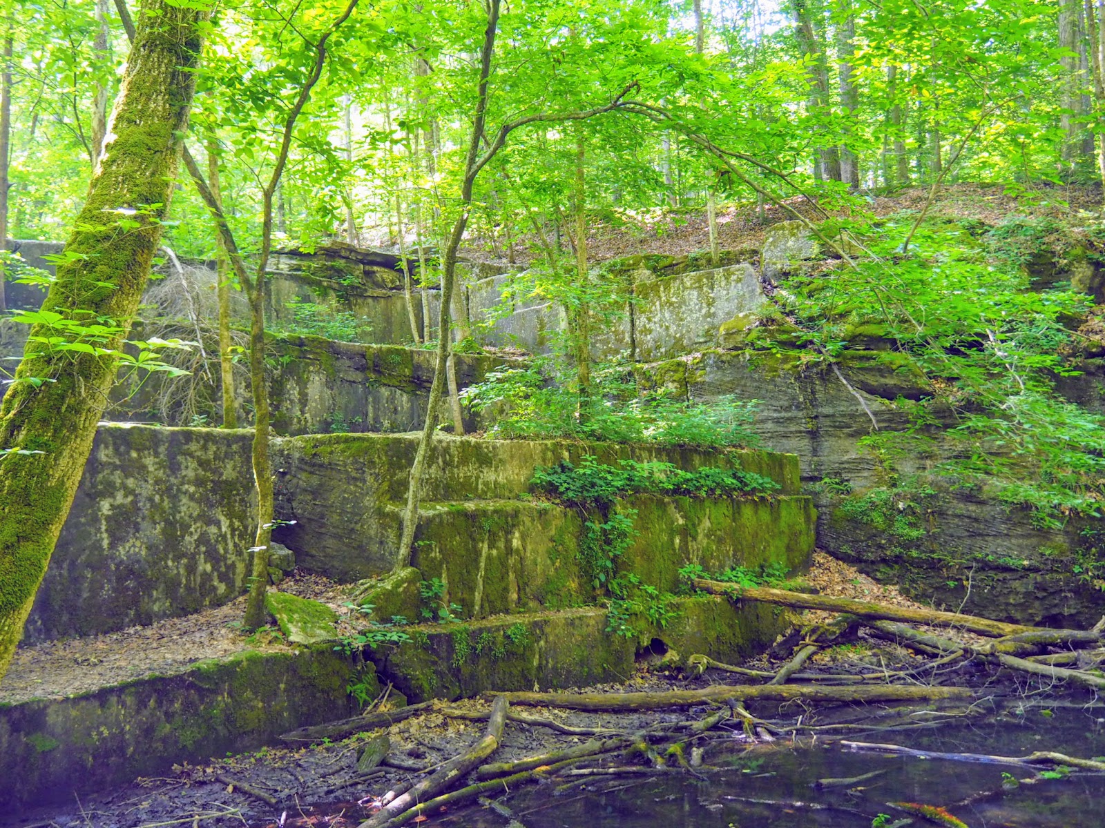 Spencer, IN McCormick's Creek State Park, Old State House Quarry