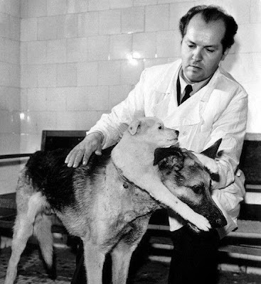 Bizarre Experiments - Demikhov’s Two-Headed Dogs