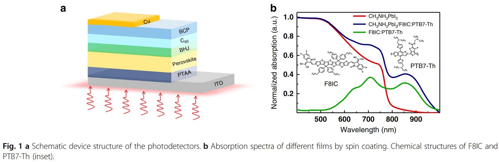 Image Sensors World Fast Photodetectors with HDR