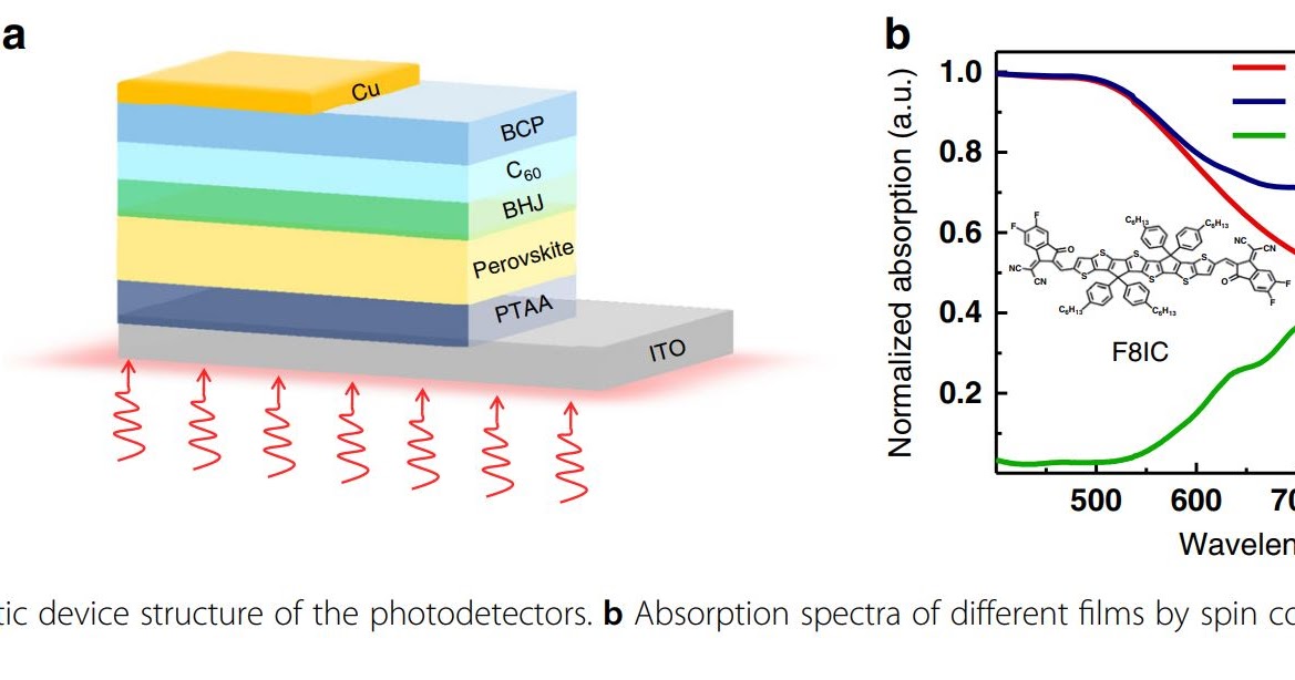Image Sensors World Fast Photodetectors with HDR