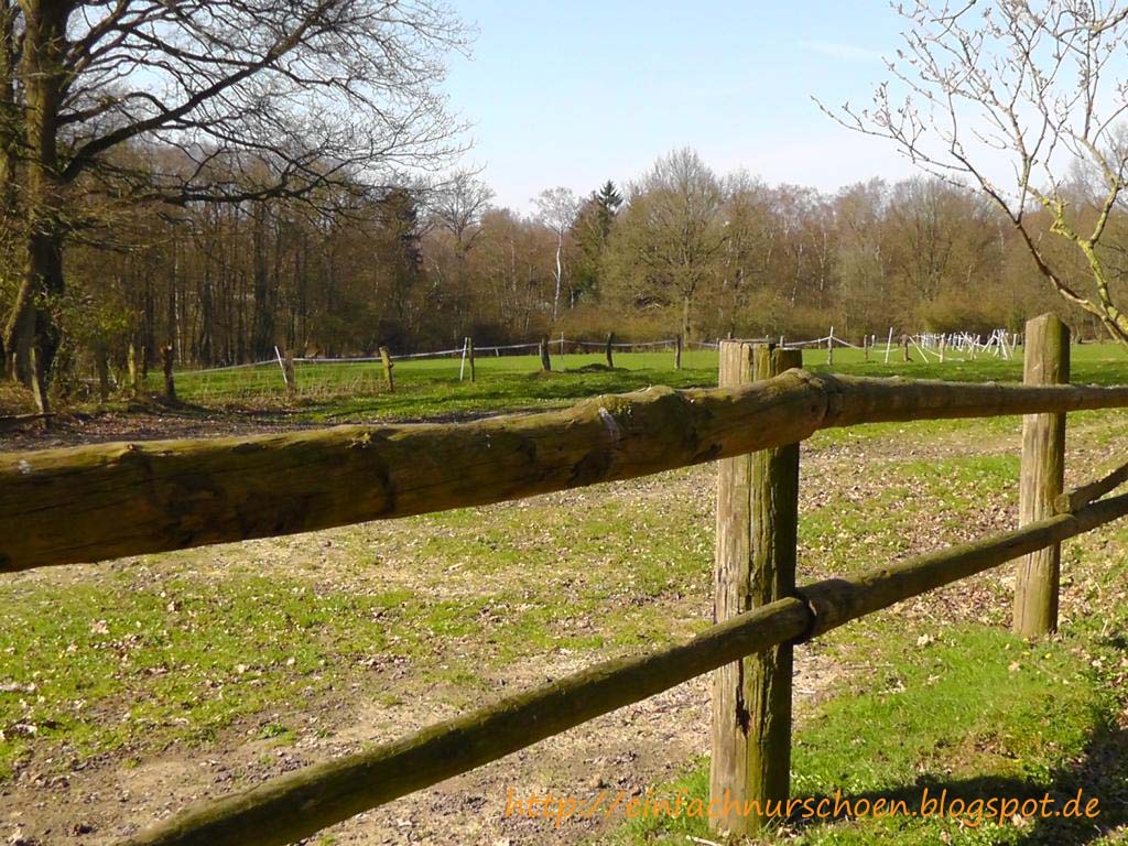 Einfach nur Schön Holzzaun auf Pferdekoppel