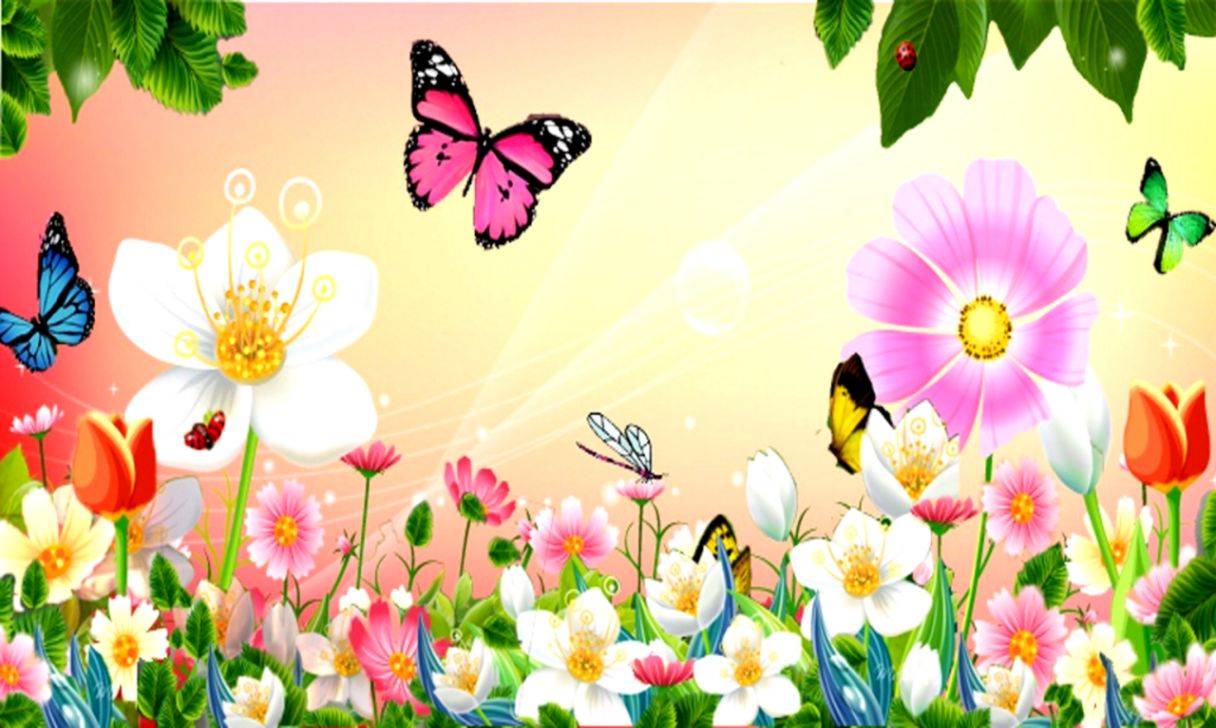 Beautiful Spring Photos Butterflies Wallpaper
