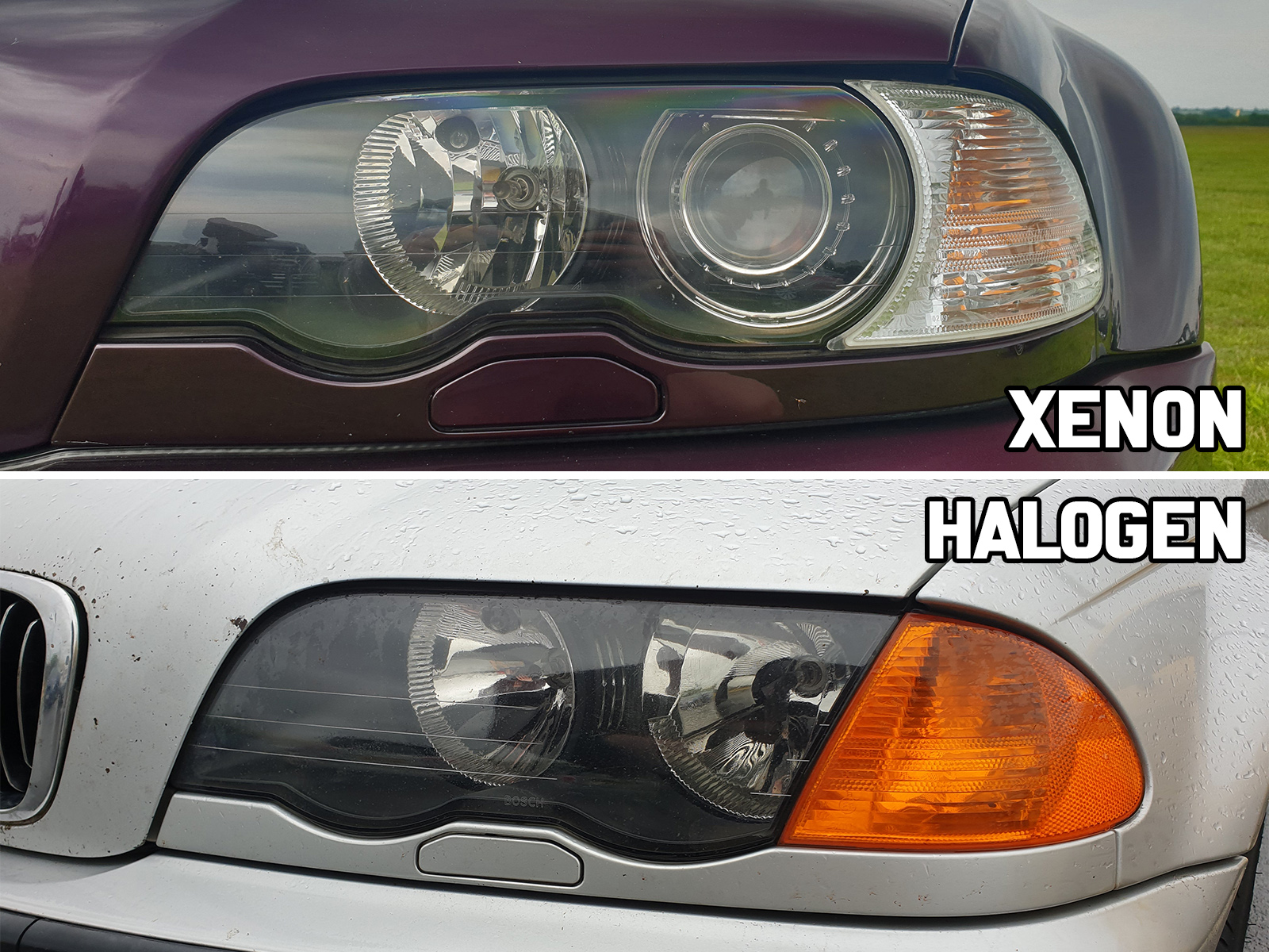 8 Best BMW E46 Headlight Bulbs [Xenon + Halogen]