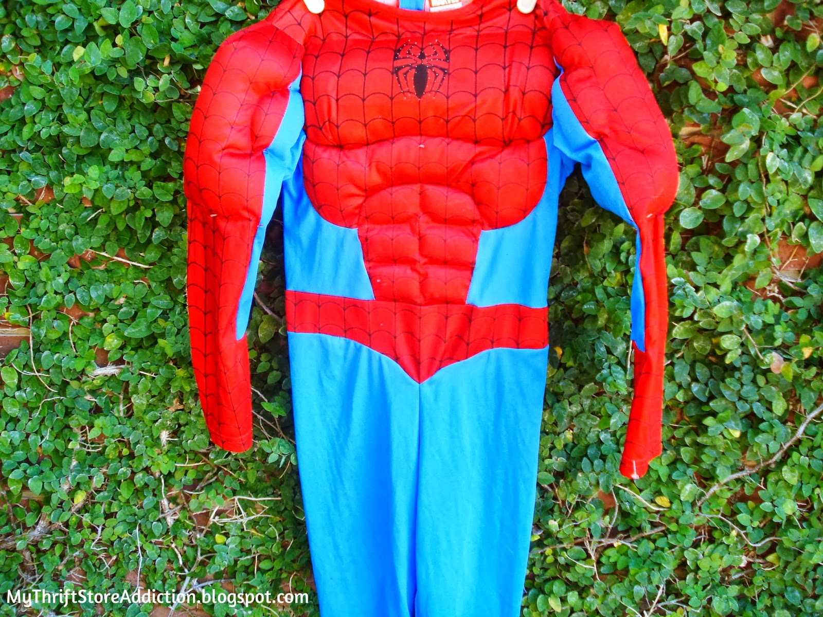 Spiderman costume