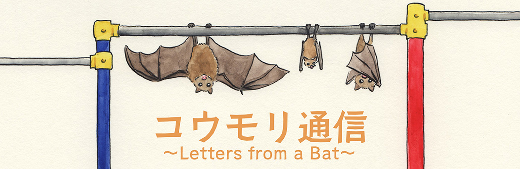 コウモリ通信〜Letters from a Bat〜