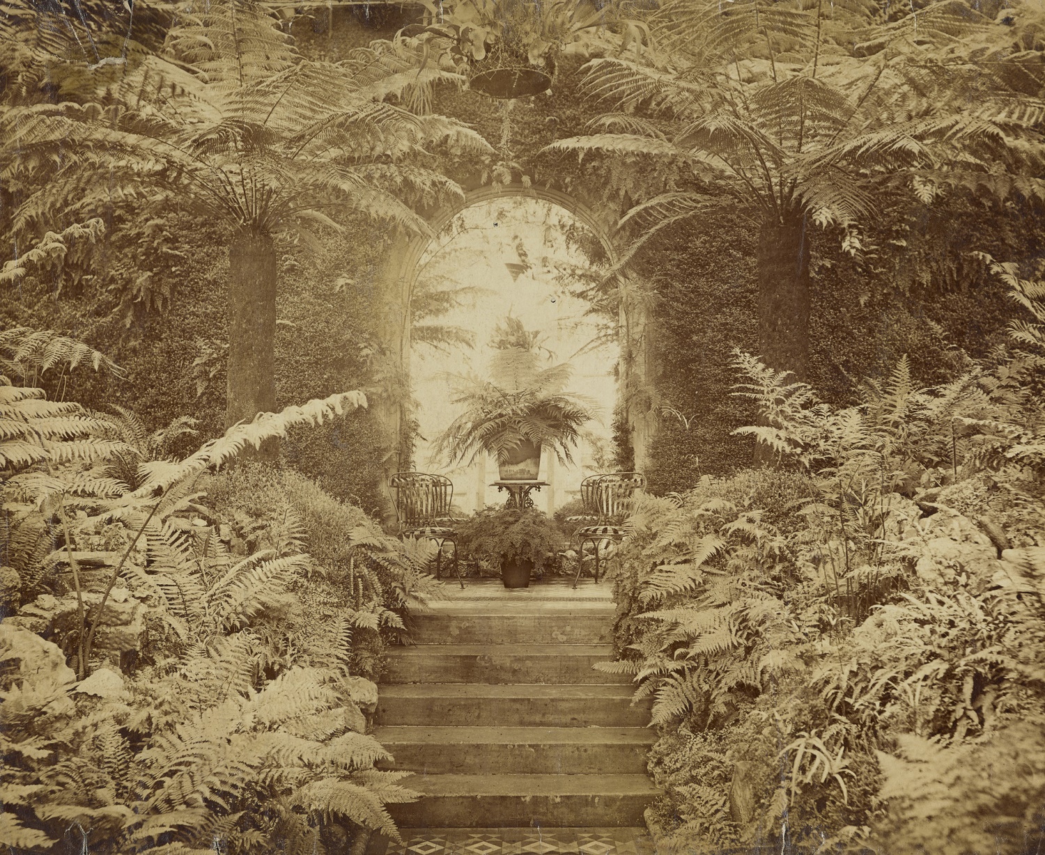 Spencer Alley Victorian Perspectives, Domestic & Foreign (Albumen Prints)