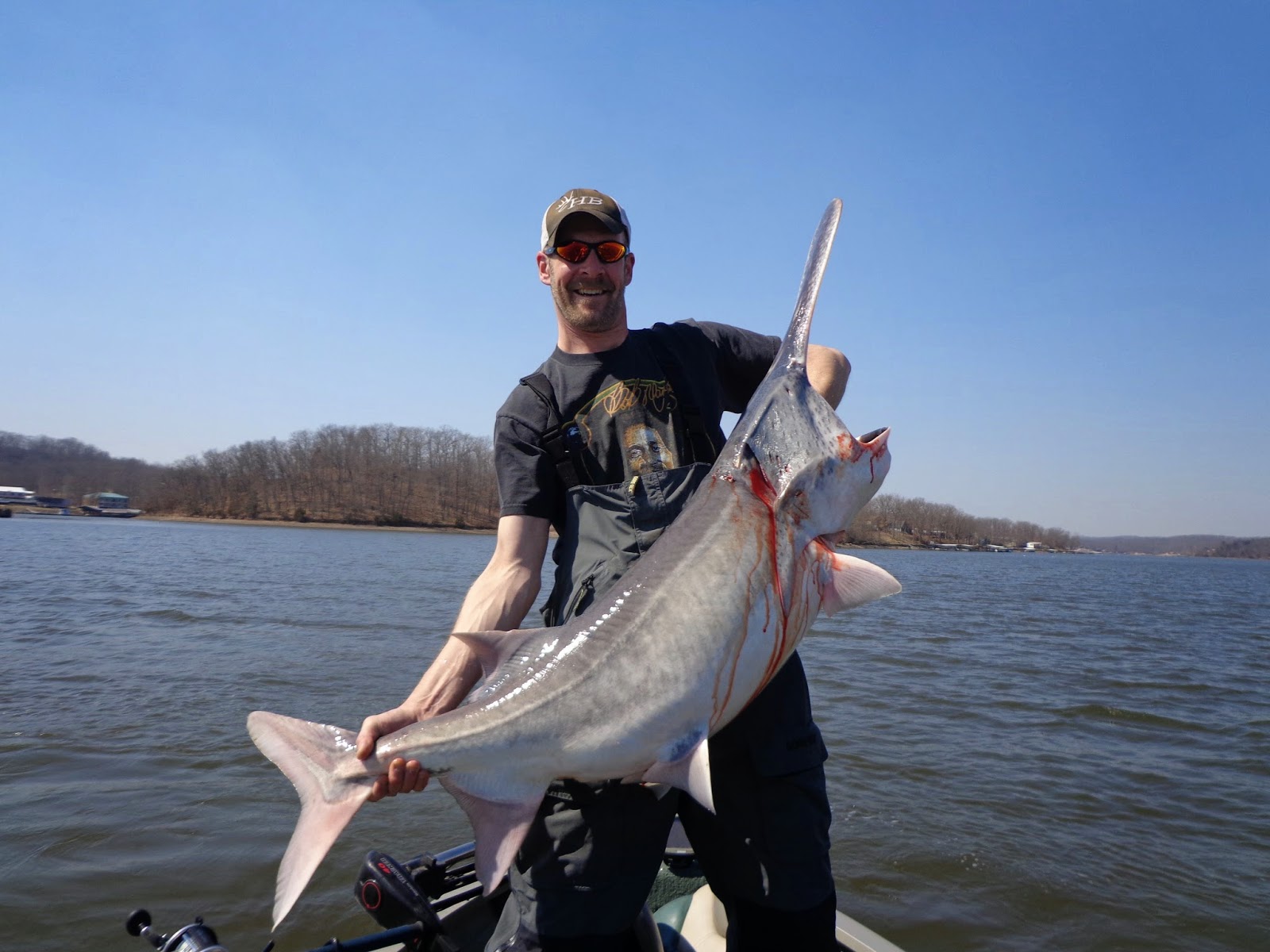Snagging Spoonbill Missouri at Yvonne Harrell blog