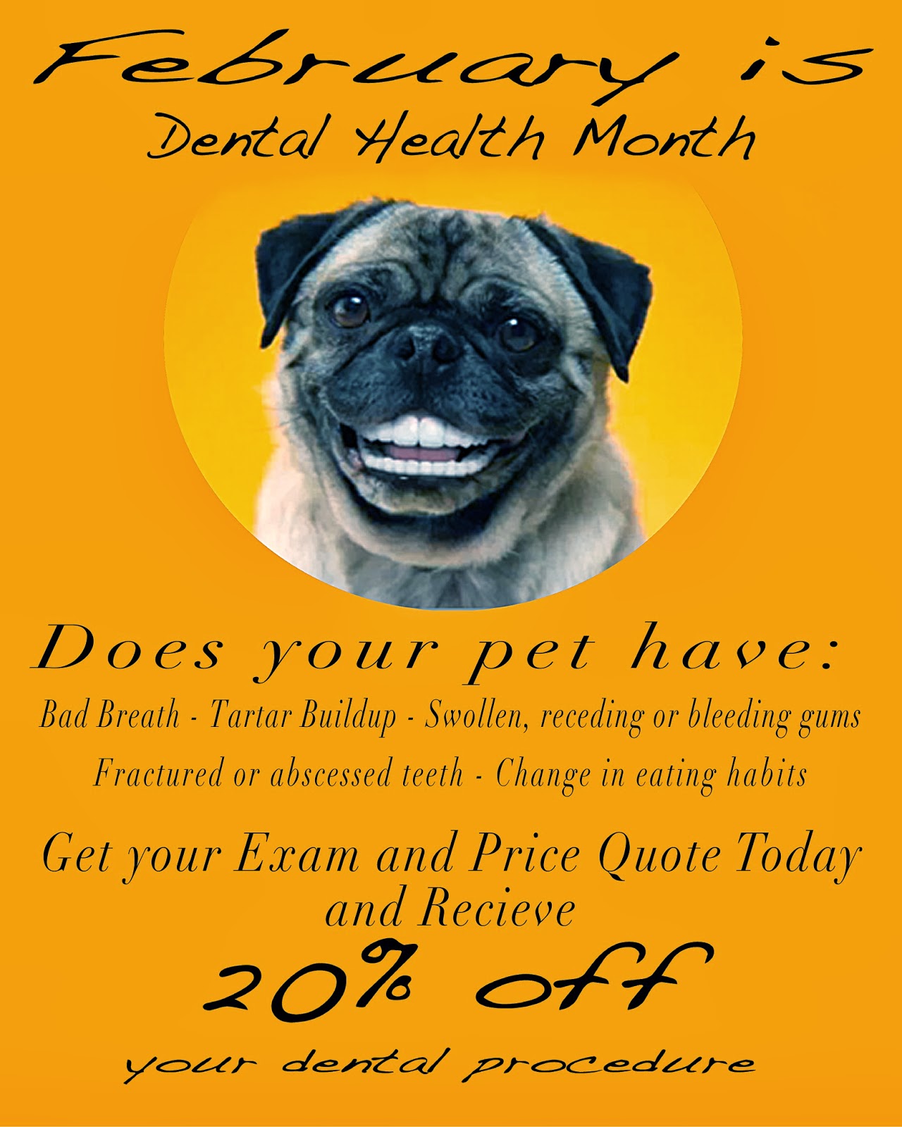 Auburn California Vet Clinic