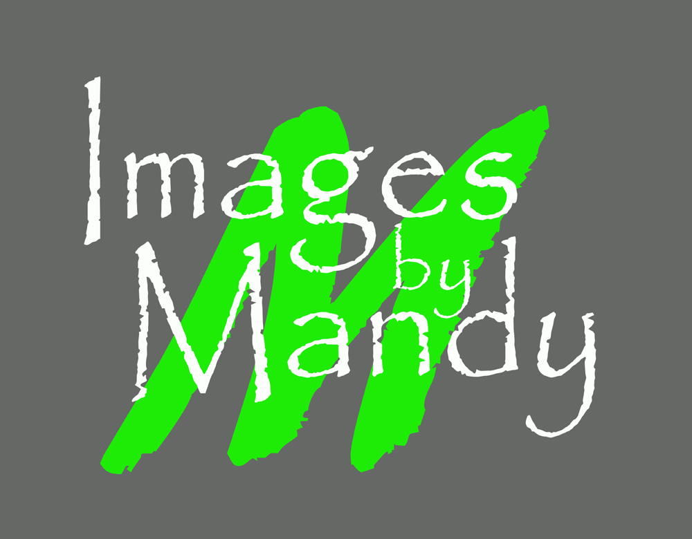 Images by Mandy, Austintown Ohio Photography Studio