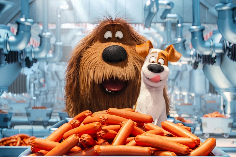 Animated Movies: The Best Films With Pets And Animals | The Pets Dialogue