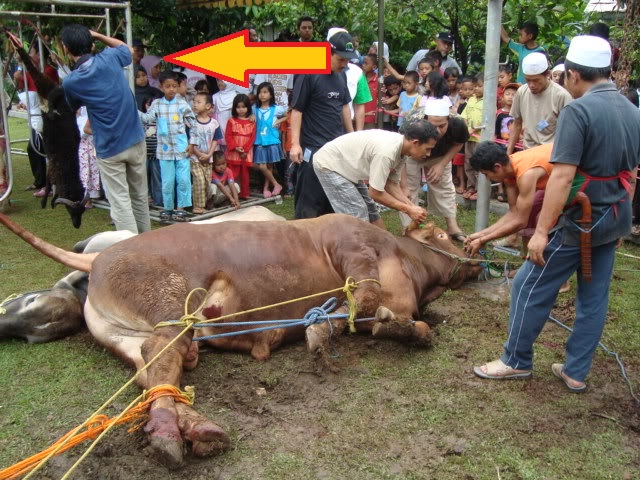 Qurban Kita Tidak Diterima, Jika Melakukan Salah Satu Keteledoran ini