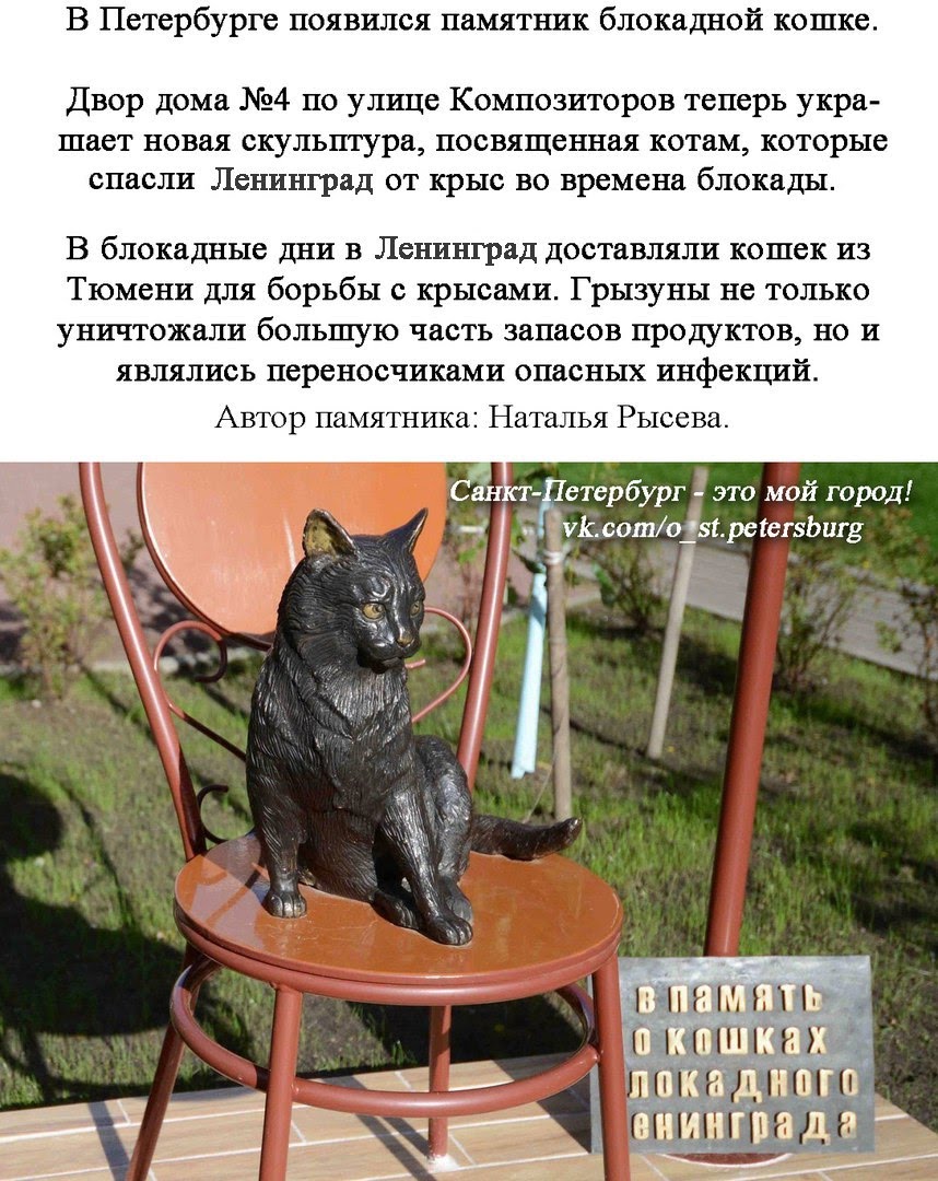 памятник котам блокадного ленинграда. памятник кошкам блокадного ленинграда в санкт-петербурге. памятник котам блокадного ленинграда. памятник котам блокадного ленинграда. памятник кошкам блокадного ленинграда в санкт-петербурге.