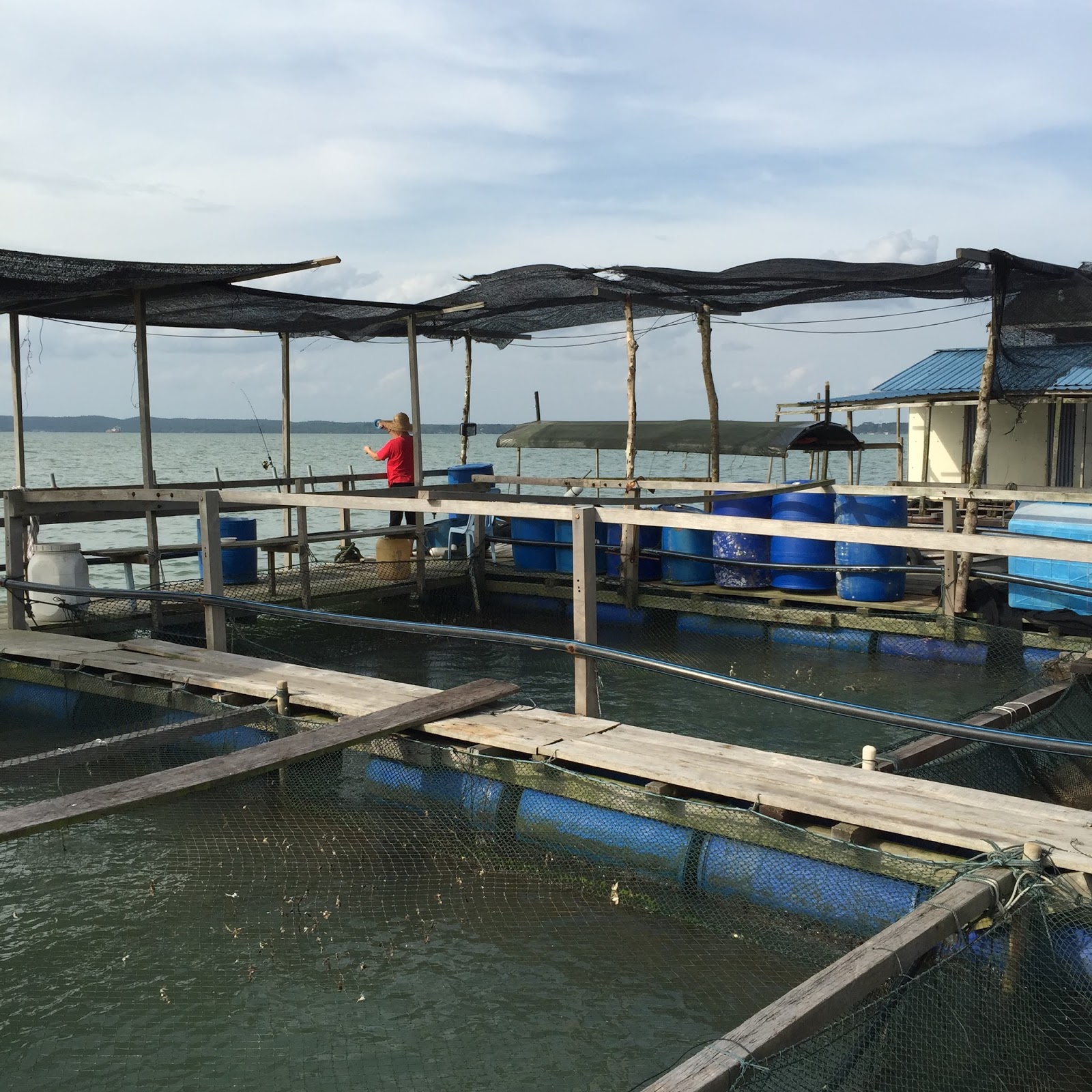 Kong Kong Fishing Trip Blog, Johor Bahru Day Fishing Trip