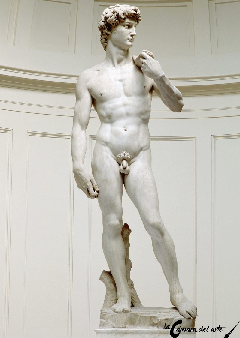 Que Lleva David De Miguel ángel En Su Mano Izquierda David | La Cámara del Arte